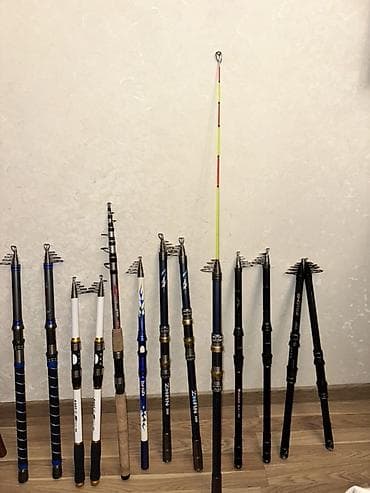 Teleskopik balıqçılıq qamışları dəsti - Müxtəlif modellər və ölçülər lalafo.az -da Teleskopik balıqçılıq qamışları dəsti - Müxtəlif modellər və ölçülər