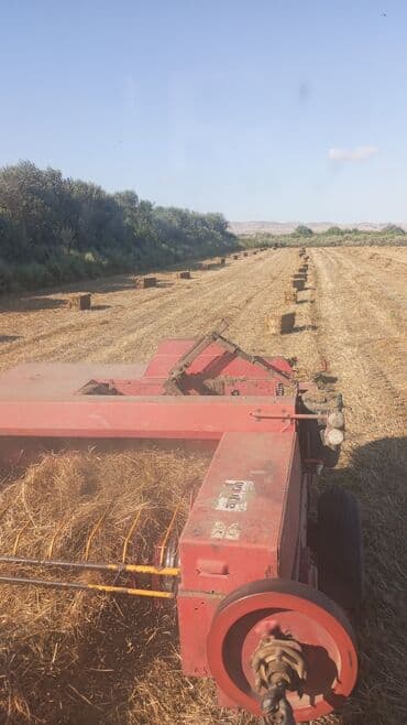 Dam örtükləri: Pres baqlyan — 1