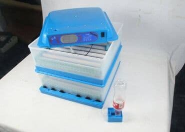 qirqovul satilir: Nkubator inkubatorlarin birinci əl satişi mağazamizda olan inkubator — 2