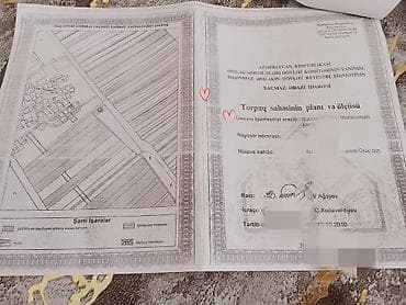 sabran: 41 sot, Tikinti, Kupça (Çıxarış) — 3