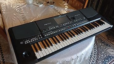 Спорт и хобби: Синтезатор, Korg, Новый, Платная доставка — 1