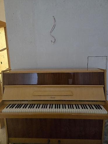 Musiqi alətləri: Rösler akustik piano – vertikal (upright) model. Alverçi deyilem öz — 2