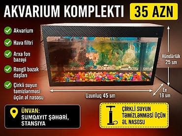 Akvarium komplekti Tərkib: - Akvarium - Hava filtri - Arxa fon bəzəyi lalafo.az -da Akvarium komplekti Tərkib: - Akvarium - Hava filtri - Arxa fon bəzəyi