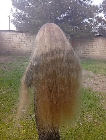 qısa donlar 2023: Təbii uşaq saci satlir canlı çox gözəl rəngi var 50santi satlir — 1