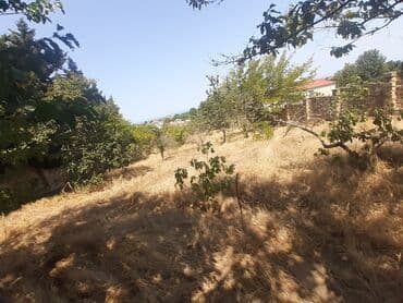 tap az bag evleri pirsagida: Bakı, Görədil, 65 kv. m, 1 otaqlı, Hovuzsuz, Qaz, Su, Kanalizasiya — 17