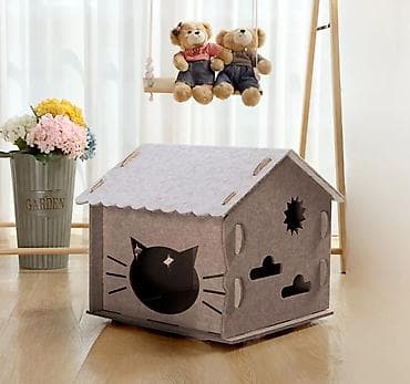 sahibsiz itler: Новые. təzə — 7