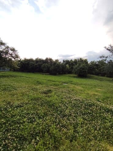 куплю дом в баку: 4 комнаты, 8700 м², Нет кредита, Средний ремонт — 13