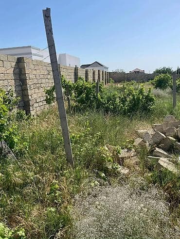 topaq: 12 sot, Tikinti, Mülkiyyətçi, Kupça (Çıxarış) — 2