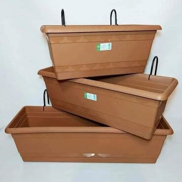 Digər bitkilər: Dibçək. Müxtəlif ölçü və modellər mövcuddur. Fərqli qiymətlərdədir — 17