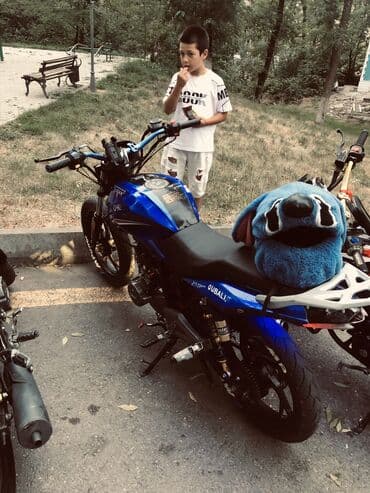 купить мапед: Tufan - S150, 150 см3, 2023 год, 22000 км — 7