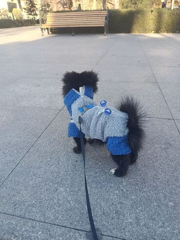 İt üçün qış kombinezonu – mavi/boz rəngdə, yumşaq “şerpa” tipli flis