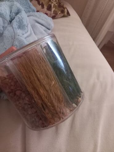 Инструменты: Другие товары для кухни — 2