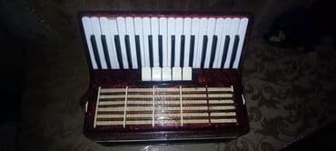 akkardion: Akustik Akkordeon, İşlənmiş, Ünvandan götürmə — 1