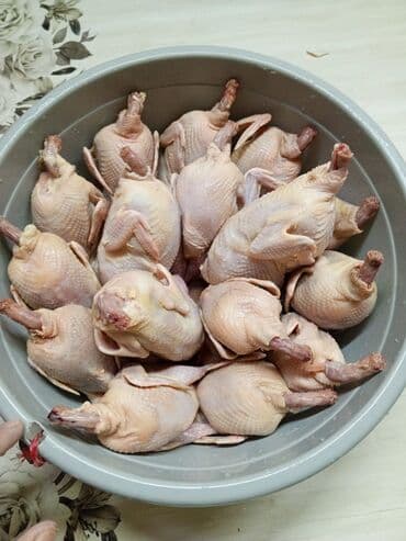 сливочное масло в баку: Təmizlənmiş və dri halda bildirçinlər satılır Ünvan Quba 2 Nügədi — 4