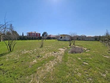 elite: 12 sot, Tikinti, Mülkiyyətçi, Kupça (Çıxarış) — 3