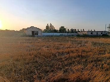 binə atçılıq: 1 sot, Tikinti, Mülkiyyətçi, Kupça (Çıxarış) — 1