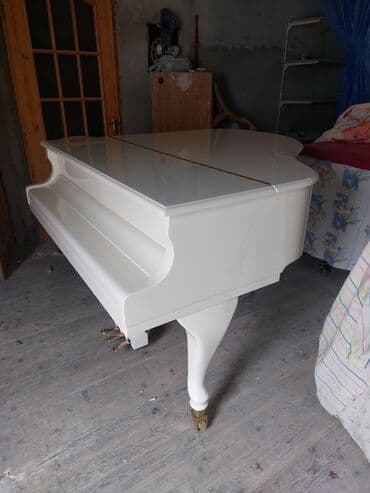 mikrafon baku: Royal, Akustik, Yeni, Pulsuz çatdırılma — 4