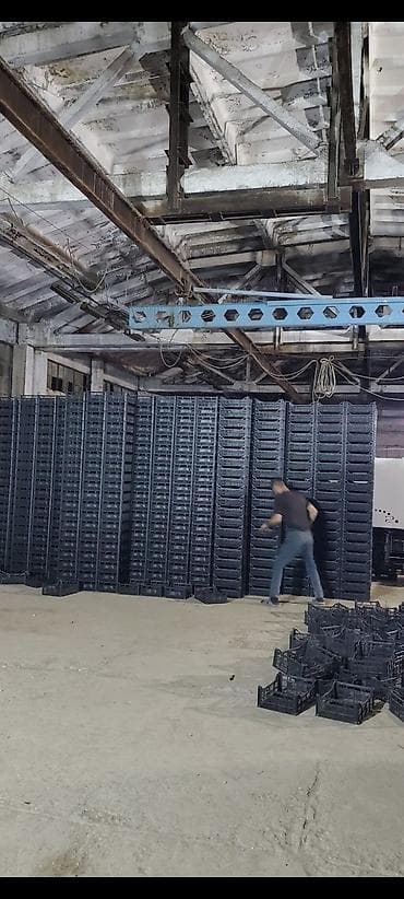 Məhsul: Plastık meyvə-tərəvəz yeşikləri Təsvir: - Qida sənayesi üçün
