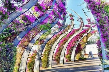 generator təmiri: Həyət və bağ sahələrinizə sarmaşıq müxtəlif qızıl güllərdən besetka — 14