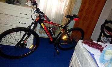 Yeni Şəhər velosipedi Start, 29" lalafo.az -da Yeni Şəhər velosipedi Start, 29"