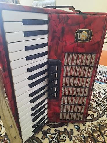 ucuz idman qidalari: Akkordeon, İşlənmiş, Rayonlara çatdırılma — 2