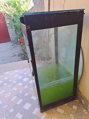 Heyvanlar üçün mallar: Hundurluk 70sm en 35 sm — 3