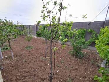 xocasəndə həyət evləri: Binə 3 otaqlı, 120 kv. m, Yeni təmirli — 8