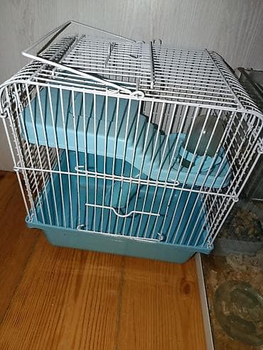 Hamster üçün akvarium və qəfəs dəsti Məhsul tərkibi: - Şüşə akvarium — 2