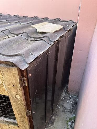 toyuq damı: Taxta toyuq/broyler kümesi - Material: taxta karkas, ön və yan — 6