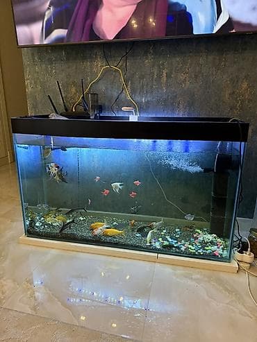 Böyük həcmli şüşə akvarium 350 litr– tam işlək komplekt — 5