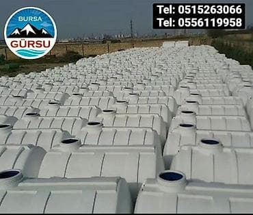 mavi ladin: Bak, Plastik, Yeni — 10