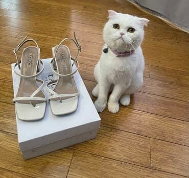 женские пляжные шлепанцы: Размер: 40, цвет - Бежевый, Б/у — 5