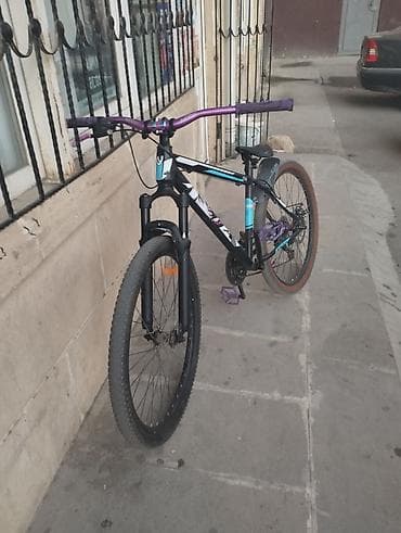 velosiped alman: Şəhər və yüngül off-road üçün uyğun dağ/şəhər velosipedi. salam — 3