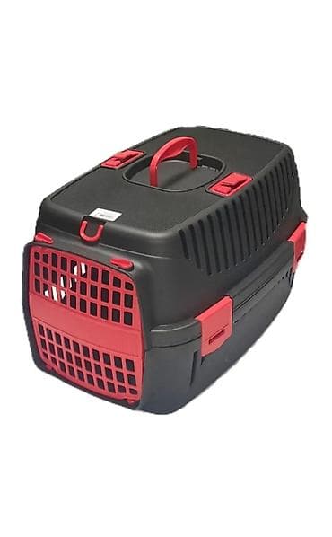 pişik eşyaları: Daşıma çantaları, başqa modellerdə var — 3