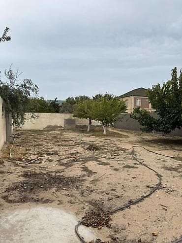 5 sot, Tikinti, Makler, Kupça (Çıxarış) — 1