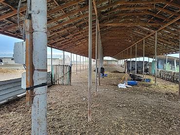 binəqədi həyət evləri: 26000 sot, Kənd təsərrüfatı, Kupça (Çıxarış) — 10