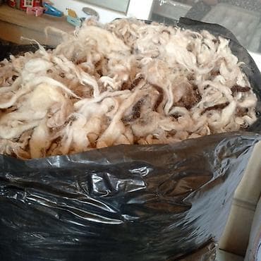 ipler: Təbii qoyun yunu – çuvallarda və paketlərdə - Məhsul: Yaxşı — 3
