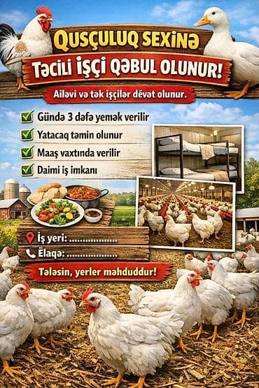 Qusçuluq sexinə işçi qəbulu Ailəvi və tək işçilər üçün iş imkanı