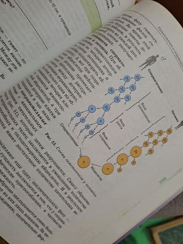 7 ci sinif riyaziyyat dersliyi pdf yukle: Общая биология,10-11 классы — 6