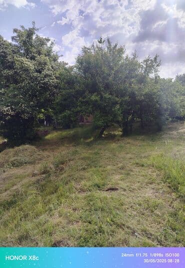 qalada xasaxunada ev torpaq: 9 sot, Kənd təsərrüfatı, Barter mümkündür, Kupça (Çıxarış) — 7