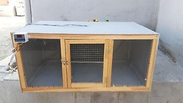 hamster near me: Cuceler ucun bruder termostatla idare olunur istilik.her terefi — 2