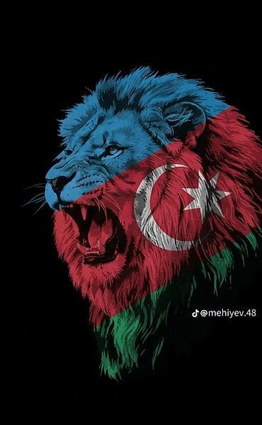 derzi isi axdariram: Məhsul: Azərbaycan temalı qrafik dizayn illüstrasiyaları Təsvir: - — 3