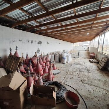 vasitəcisiz birbaşa sahibindən mənzil kirayələmək: Kənd təsərrüfatı, Mülkiyyətçi, Bələdiyyə, Kupça (Çıxarış) — 15