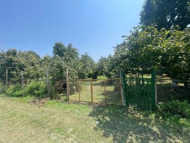 продажа 3 комнатных квартир в баку: 19 sot, Kənd təsərrüfatı, Mülkiyyətçi, Kupça (Çıxarış) — 3