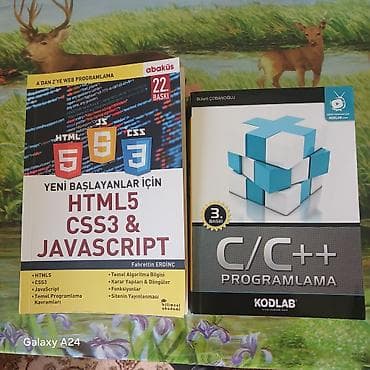 İnformatika: Məhsul: Proqramlaşdırma kitabları dəsti Real alıcıya endirim — 2