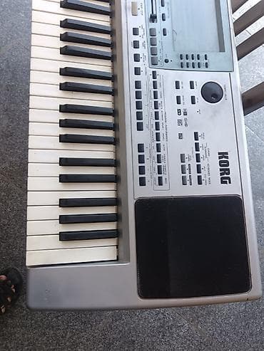 yamaha kalonkalari: Korg pa 50 Sempler — 2