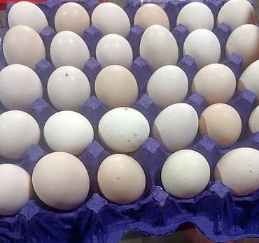 usaq tortlari sekiller: Məhsul: Toyuq yumurtası (və ya kənd yumurtası)Mayalı kent yumurtası — 1