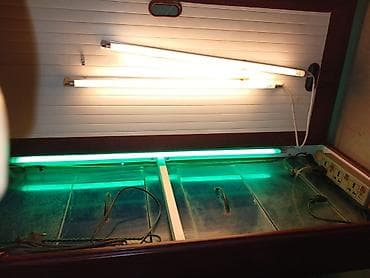 akva ayaqabılar: Dördbucaq akvarium, Boş, 297 l, Ünvandan götürmə — 8