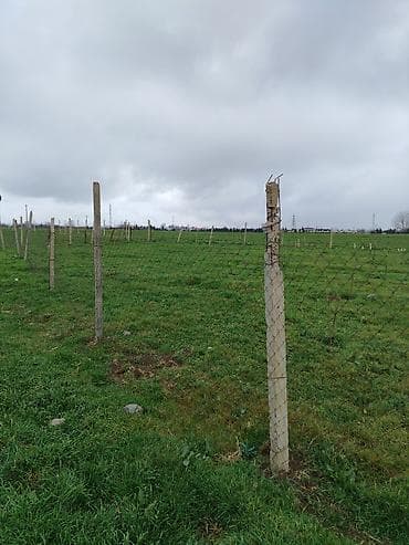 biləcəri torpaq: 8 sot, Tikinti, Mülkiyyətçi, Kupça (Çıxarış) — 8