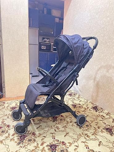 uşaq bezleri: Klassik gəzinti arabası — 2